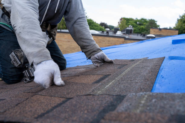 Best Metal Roofing Contractor  in Germantown, WI